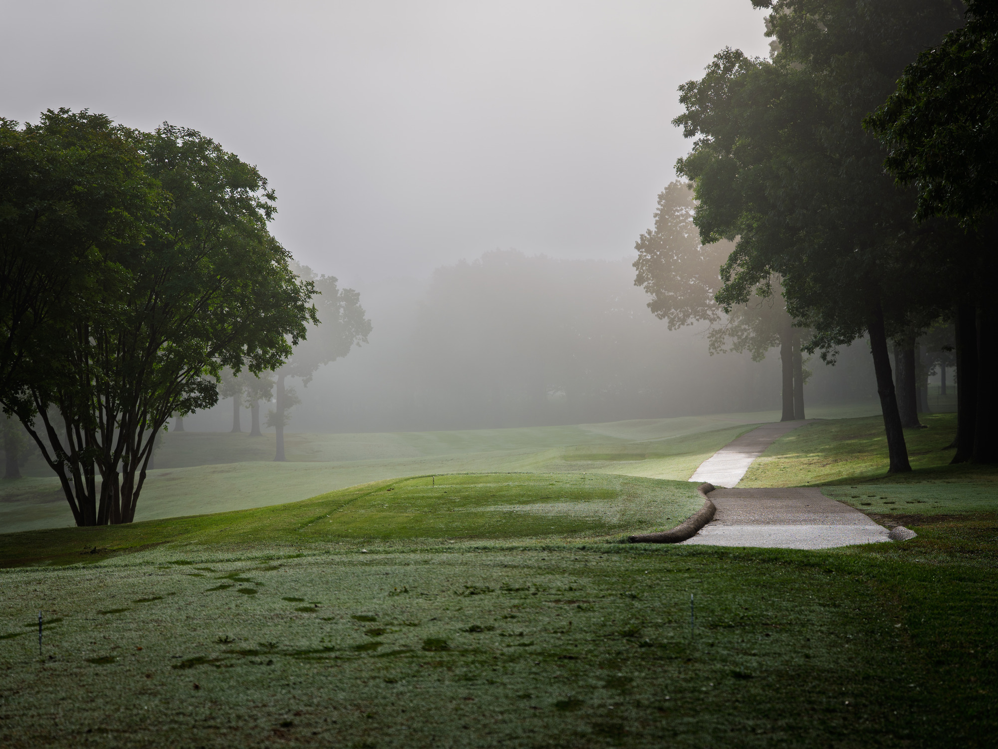 JonesboroCC-Golfcourse-P1382922